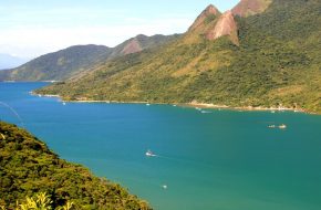 saco de mamangua